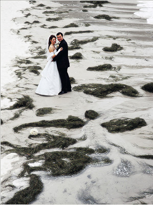 Hochzeitsfotograf Rügen